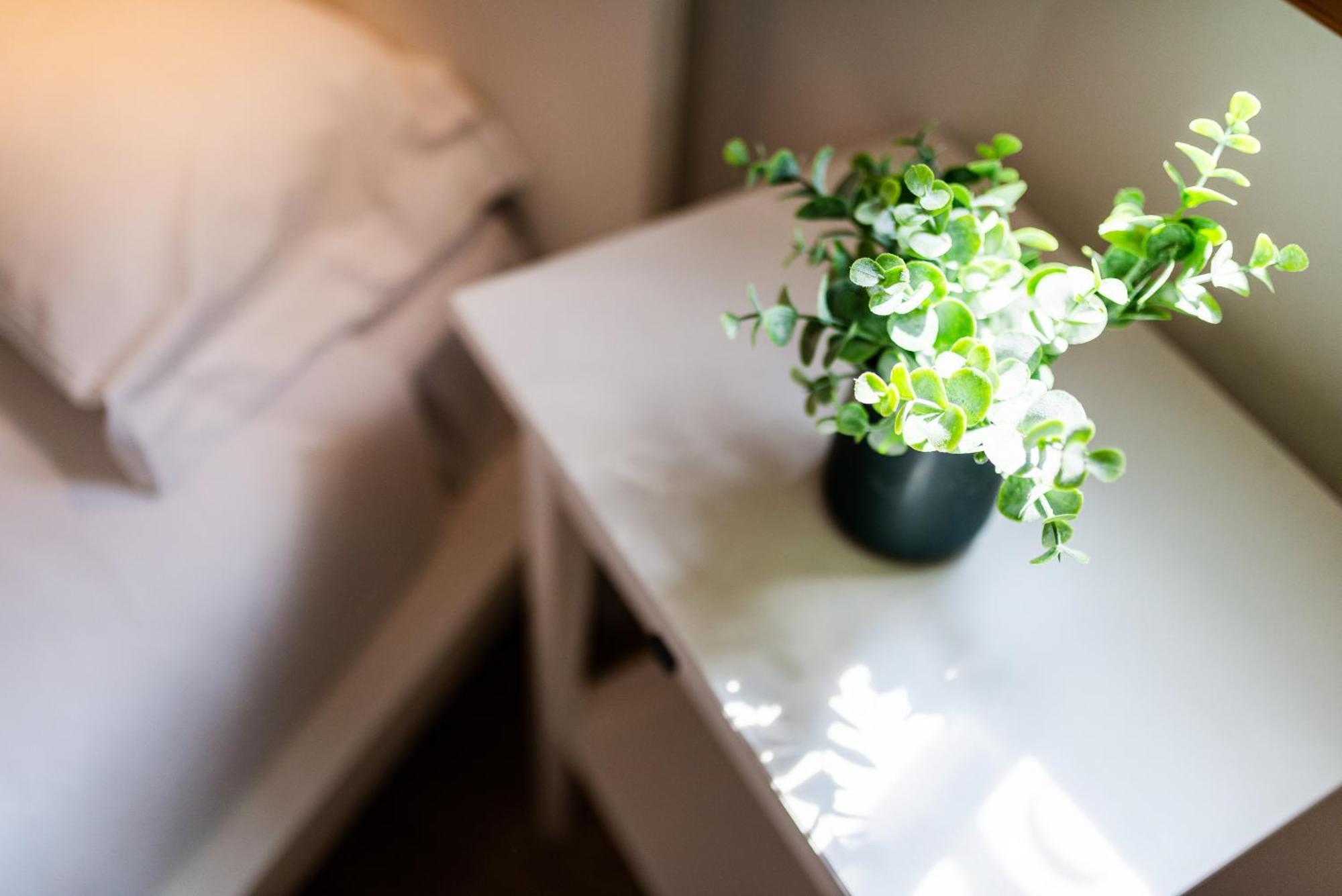 Appartement Amalia Grenade